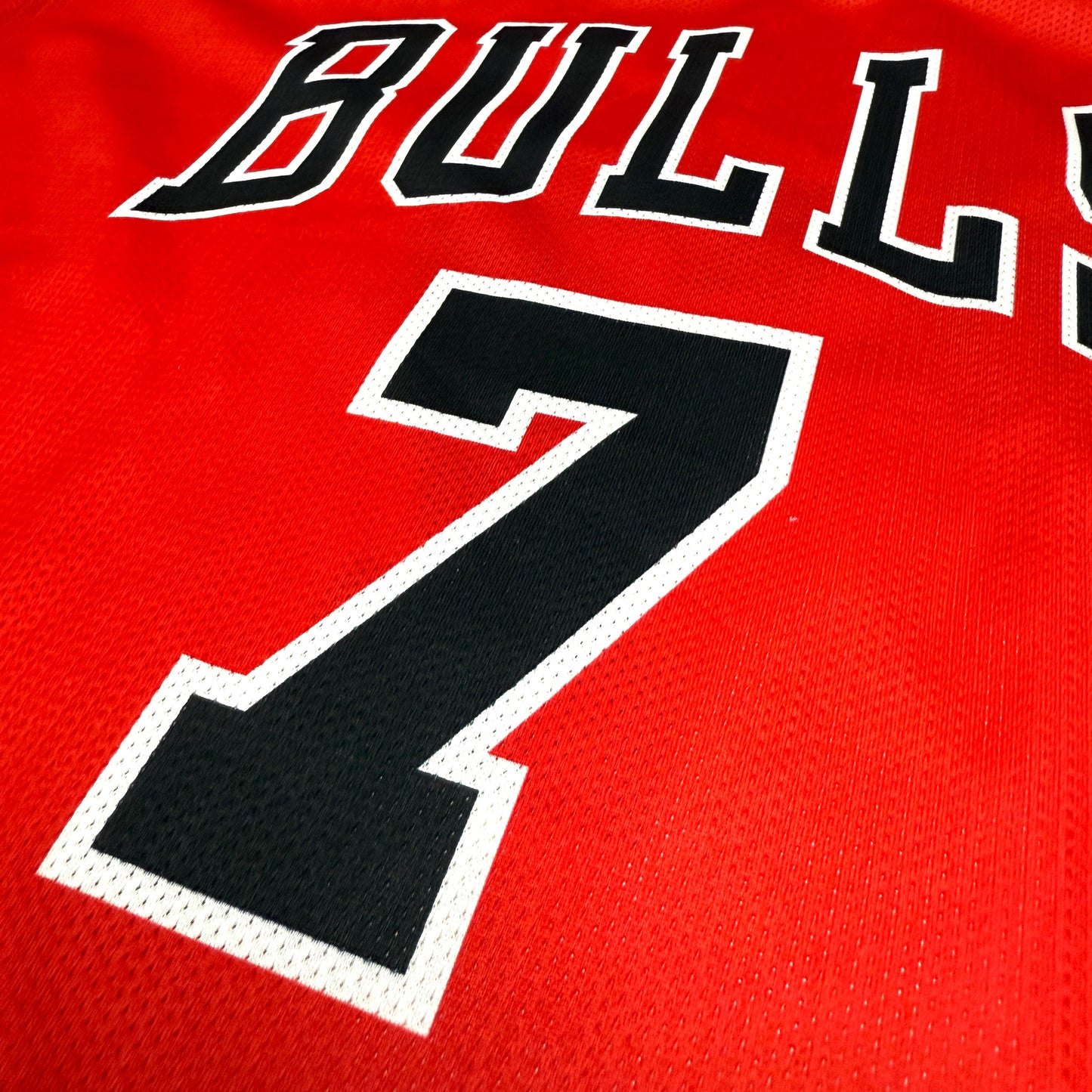 Chicago Bulls - Ben Gordon - Größe M - Champion - NBA Trikot