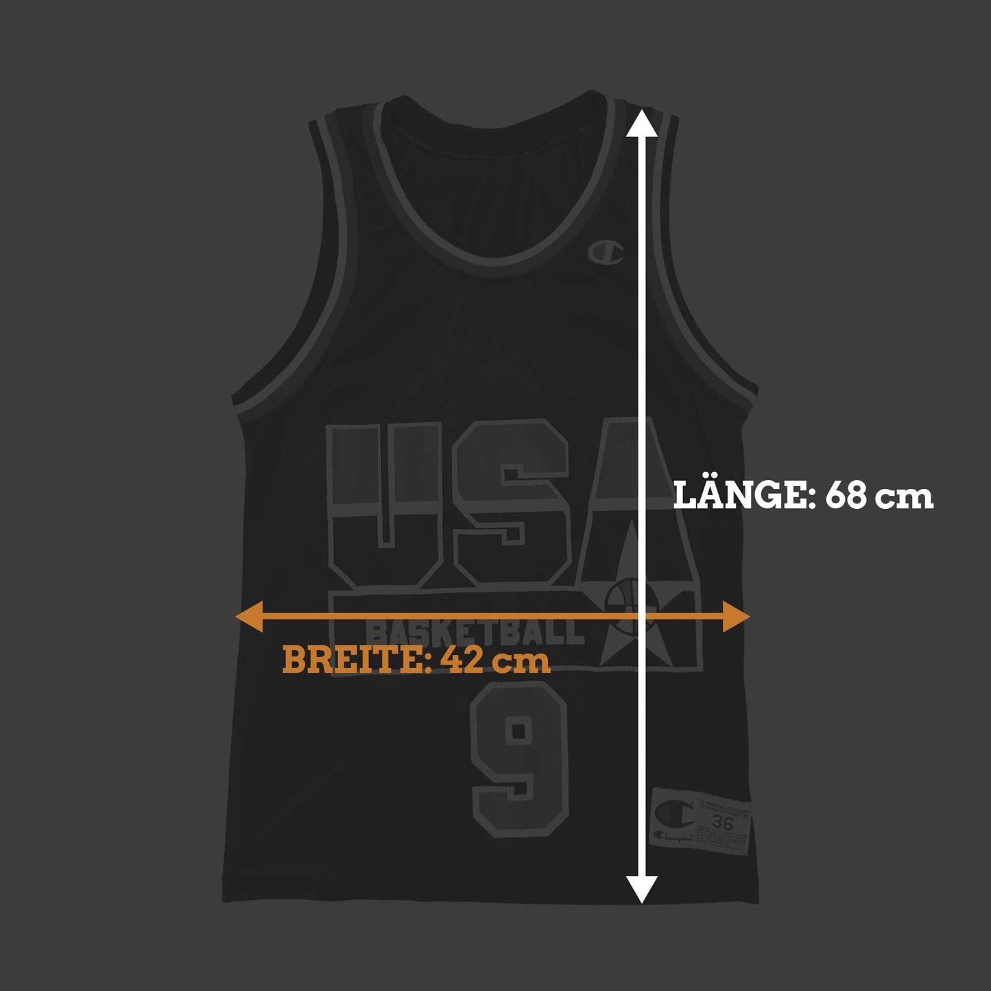 Team USA - Dan Majerle - Größe S / US36 - Champion - NBA Trikot