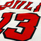 Chicago Bulls - Joakim Noah - Größe XL - Champion - NBA Trikot