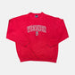 Wisconsin Badgers - NCAA Sweatshirt - Größe XXL - TSI Sportswear Pullover