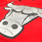 Chicago Bulls - Derrick Rose - Größe S - Adidas - 2013 NBA Christmas Trikot