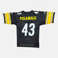 Pittsburgh Steelers - Troy Polamalu - S - Reebok - NFL Trikot